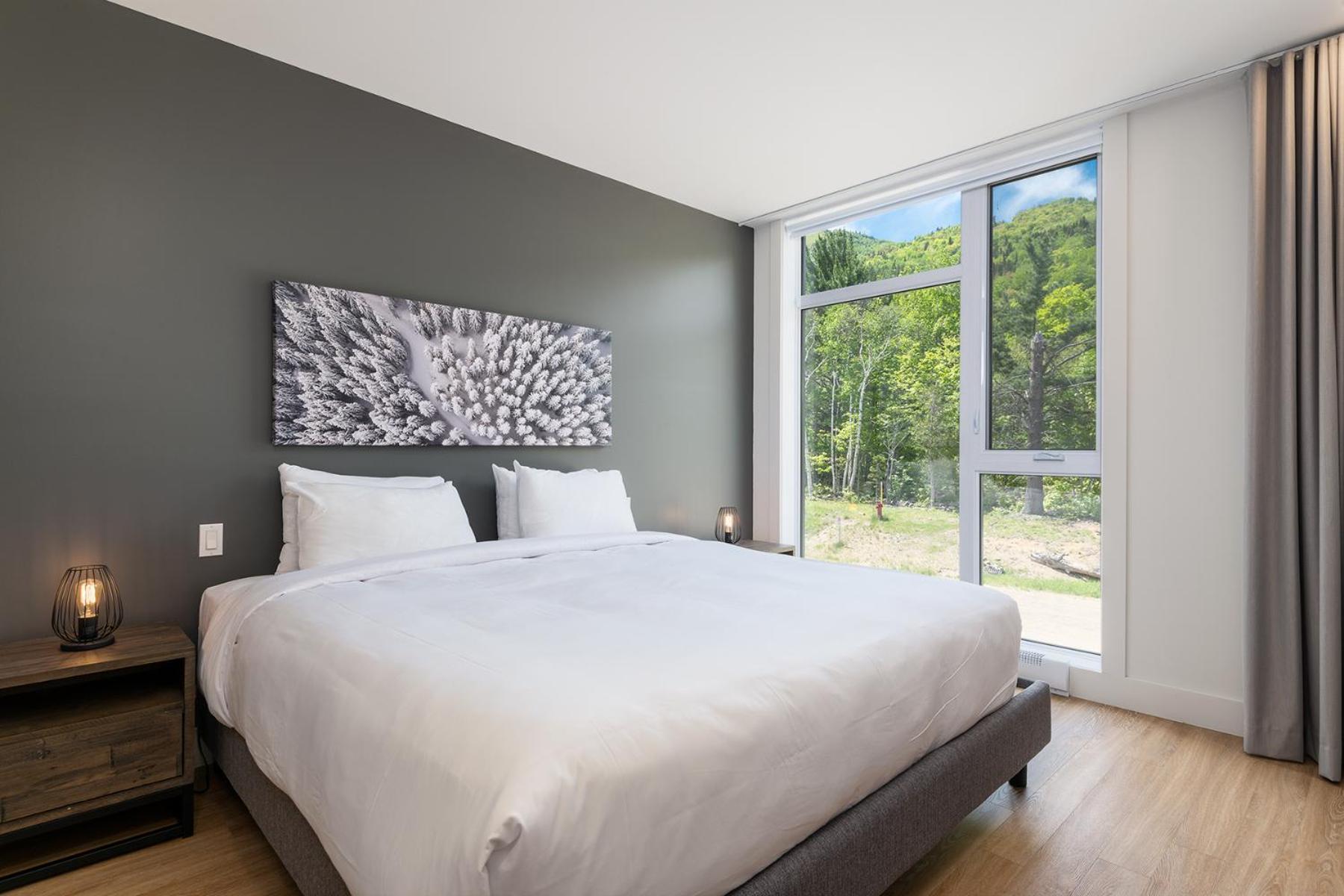 Les Appartements Du Massif De Charlevoix Petite-Riviere-Saint-Francois Quarto foto